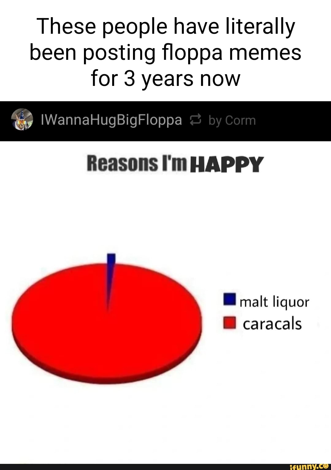 These people have literally been posting floppa memes for 3 years now IWannaHugBigFloppa by Corm