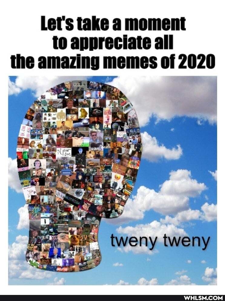Let's take a moment to appreciate all the amazing memes of 2020