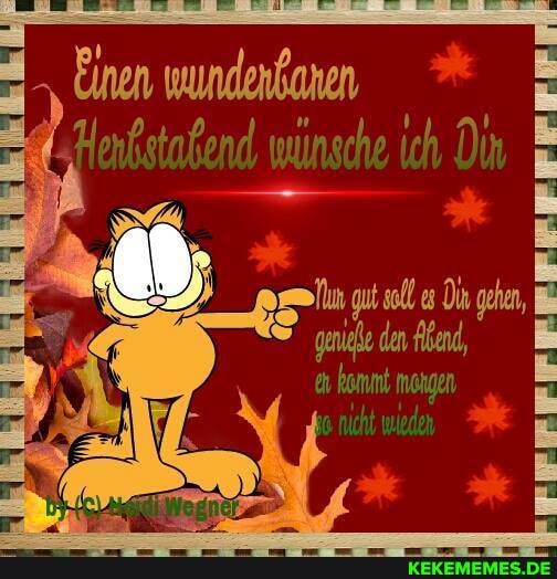 Einen wundenbonen
AM,
ich
soll gehn,
