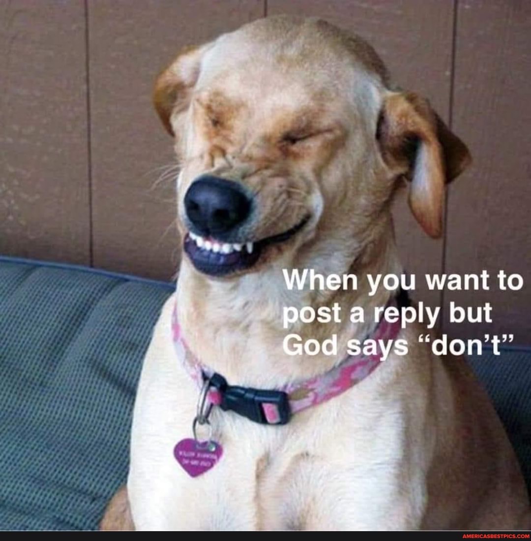 When you want to post a reply but
God says "don't"