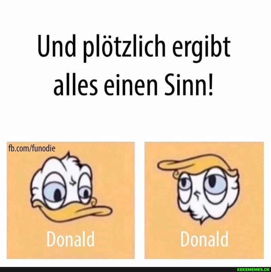 Und plötzlich ergibt alles einen Sinn!
Donald Donald
