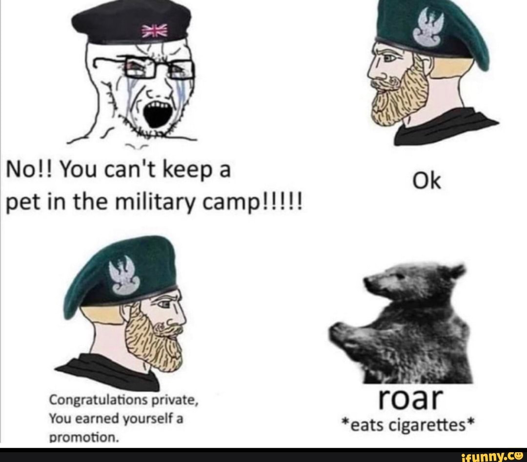 No!! You can't keep a Oke pet in the military camp!!!!! Congratulations