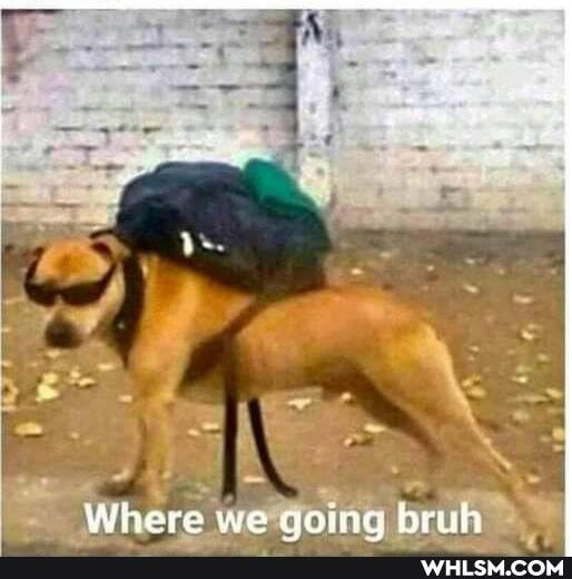 Where we aoing bruh