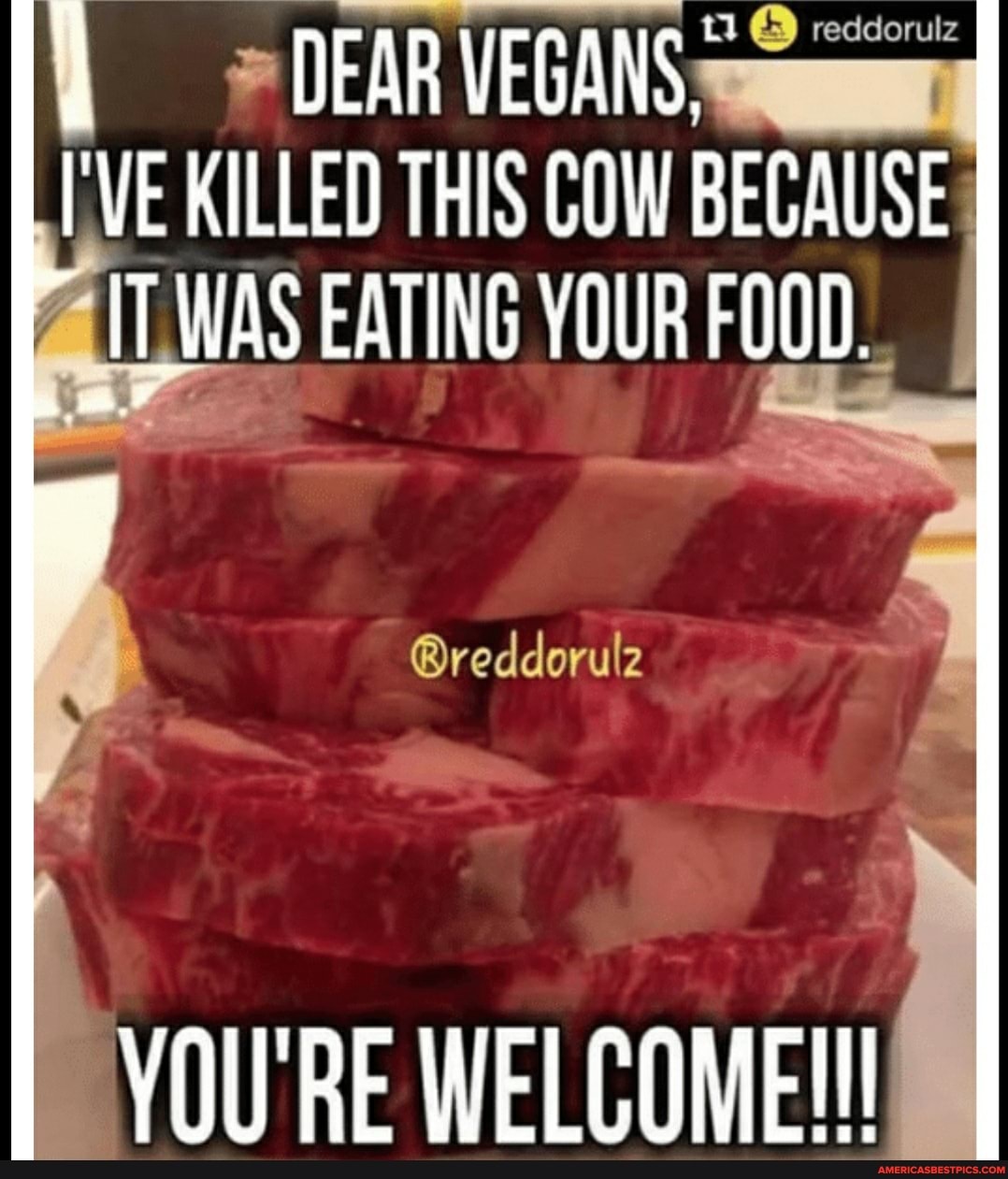 DEAR VEGANS I'VE KILLED THIS COW BECAUSE TWAS EATING YOUR FOOD I
@reddorulz
YOU RE WELCOME!