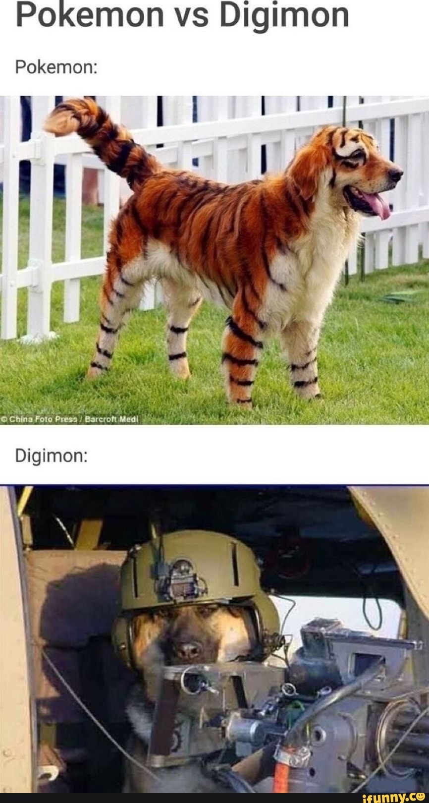 Pokemon vs Digimon
Pokemon: