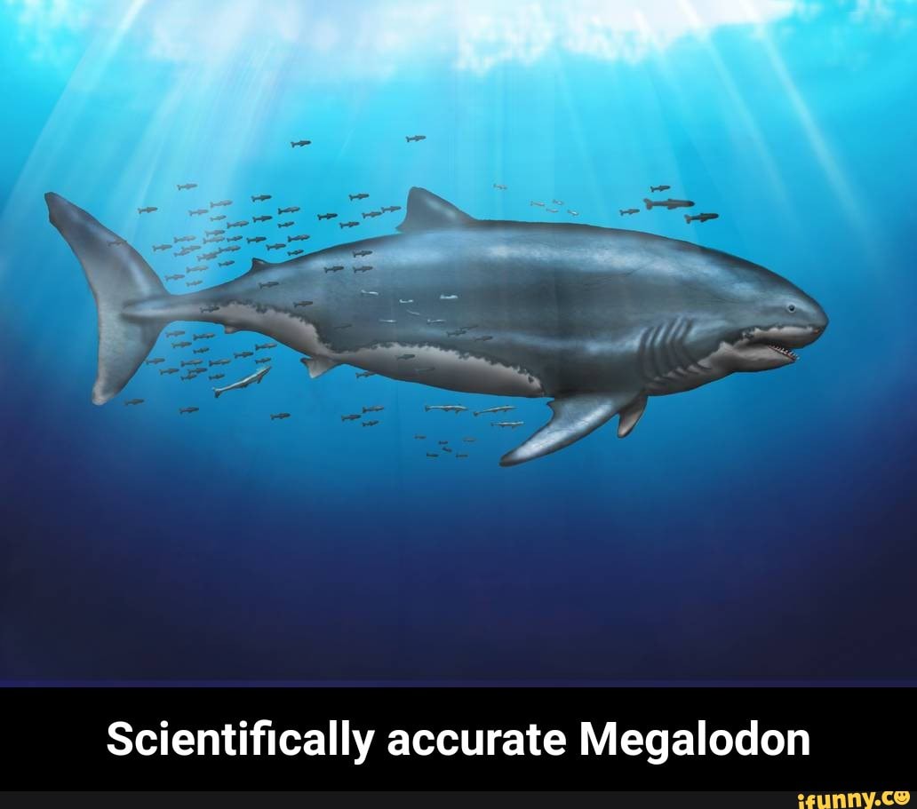 Scientiﬁcally accurate Megalodon - Scientifically accurate Megalodon ...