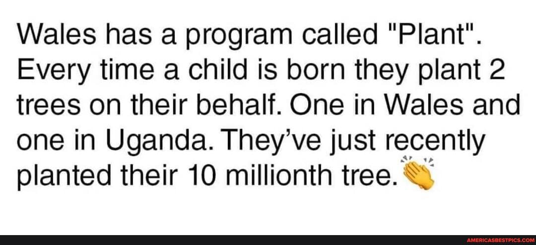 Wales has a program called "Plant".
Every time a child is born they plant 2 trees on their behalf. One in Wales and one in Uganda. They've just recently planted their 10 millionth tree.