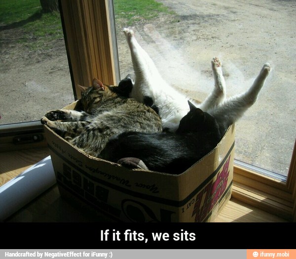 If it fits, we sits - If it fits, we sits