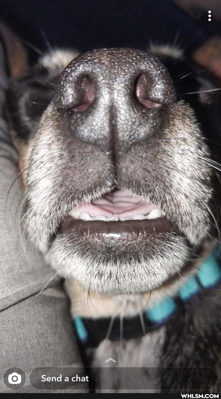 Send a chat