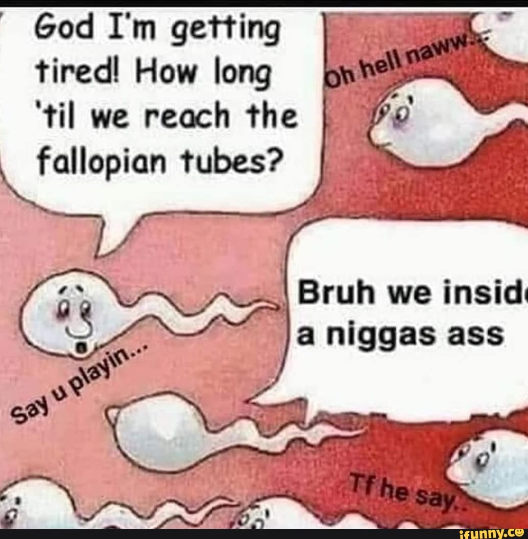 God I'm getting tired! How long
'til we reach the fallopian tubes? I