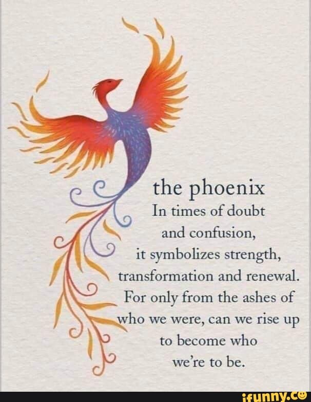 time in phoenix time in phoenix