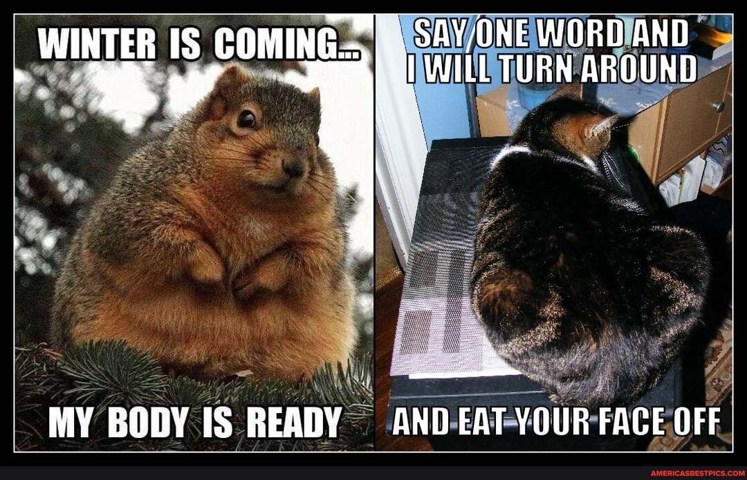 WORD AND WINTER WILL TURN AROUND
MY BODY IS READY AND EAT YOUR FACE OFF