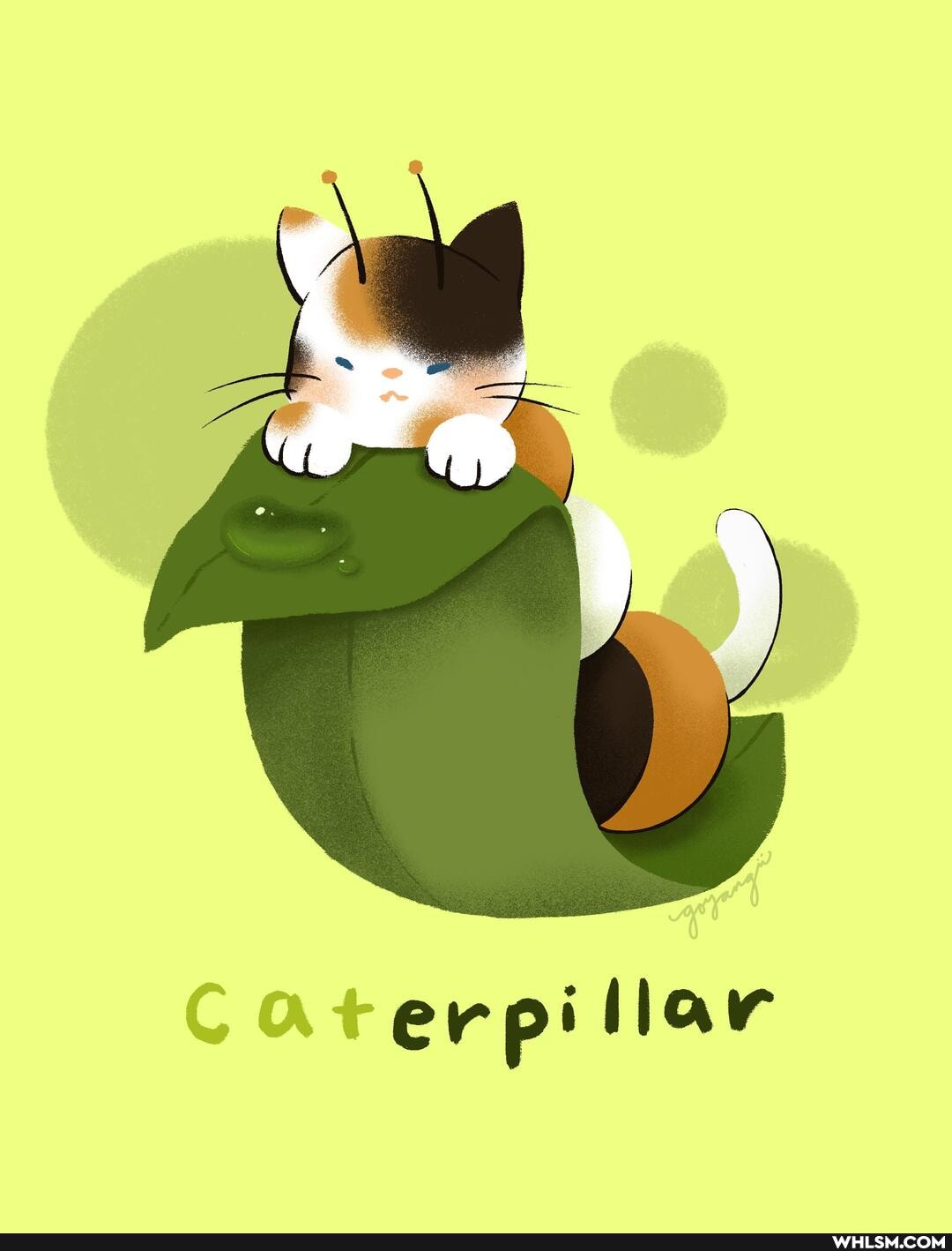 Caterpi llar