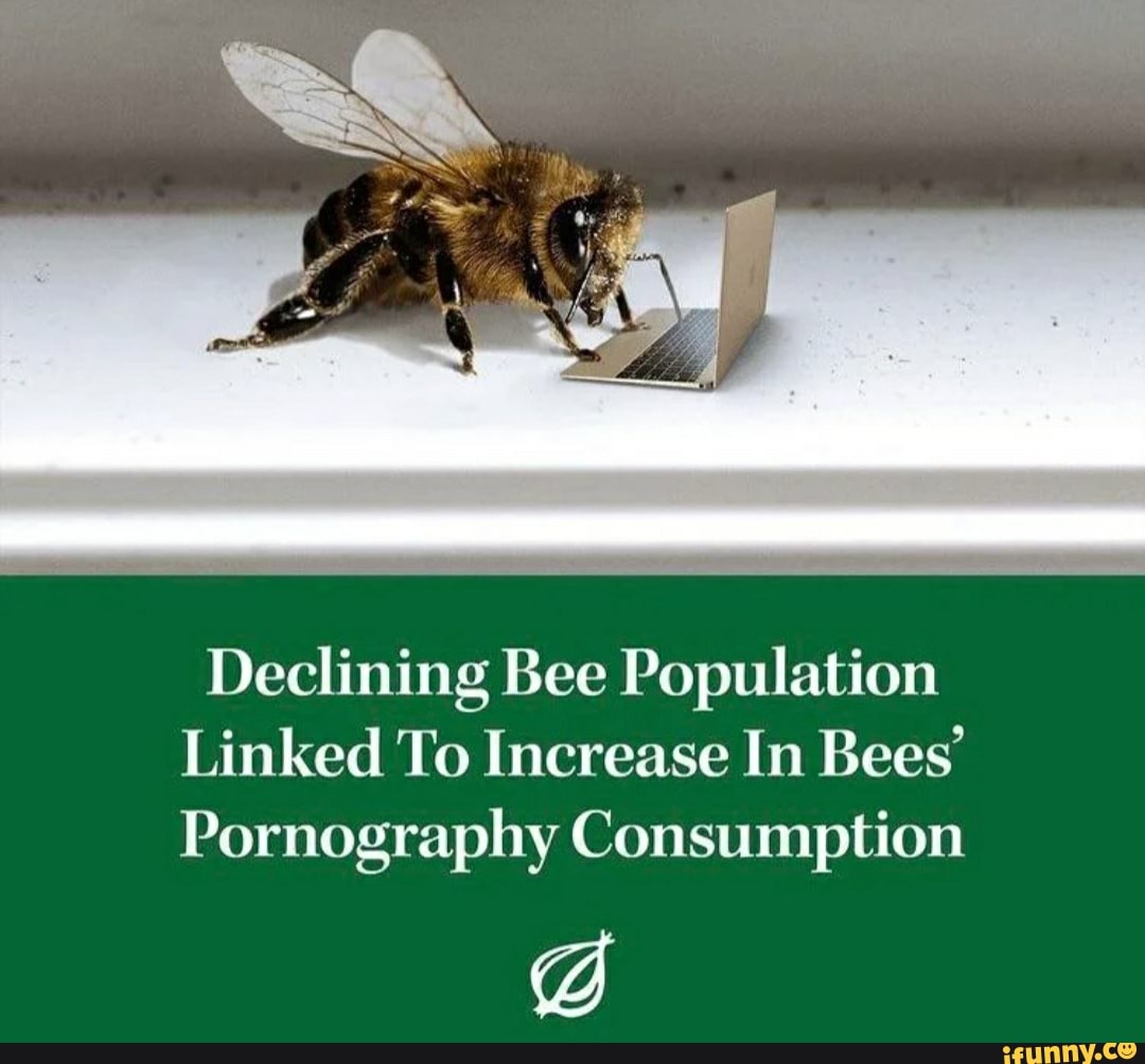 Declining Bee Population Linked To Increase In Bees Pornography Consumption Ifunny