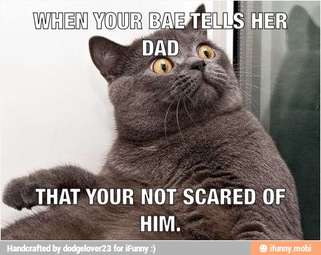 THAT. YOUR NOT SCARED OF