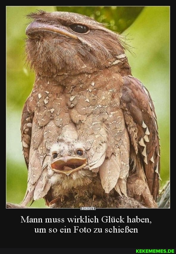 Mann muss wirklich Glück haben, um so ein Foto zu schießen