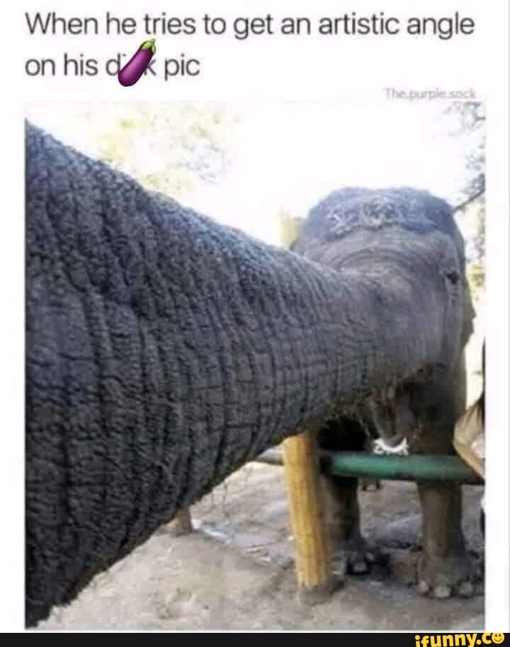 Angle memes. Best Collection of funny Angle pictures on iFunny