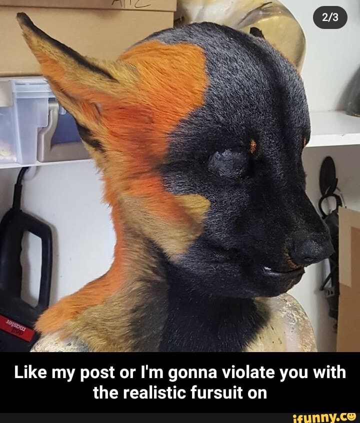Like my post or I'm gonna violate you with
the realistic fursuit on - Like my post or I'm gonna violate you with the realistic fursuit on