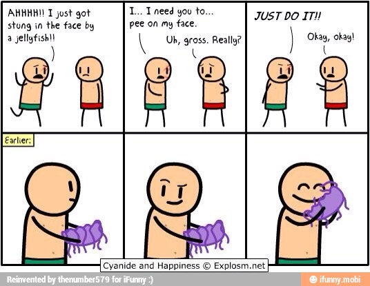 stong in the face by pee on my face.
JUST DO IT
a jellyfish!! Uh, gross. Really? Okay, okay!
