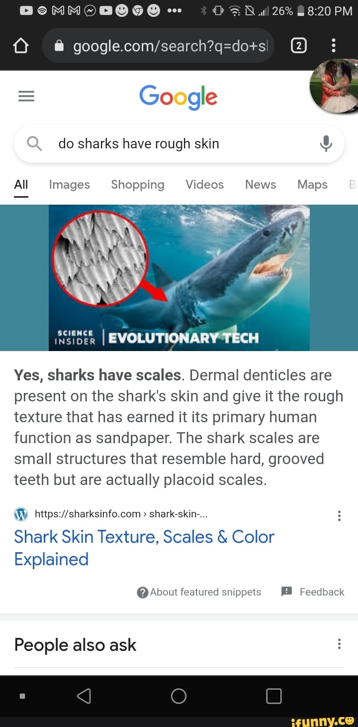 26% & : = Google Q. do sharks have rough skin All Images Shopping ...