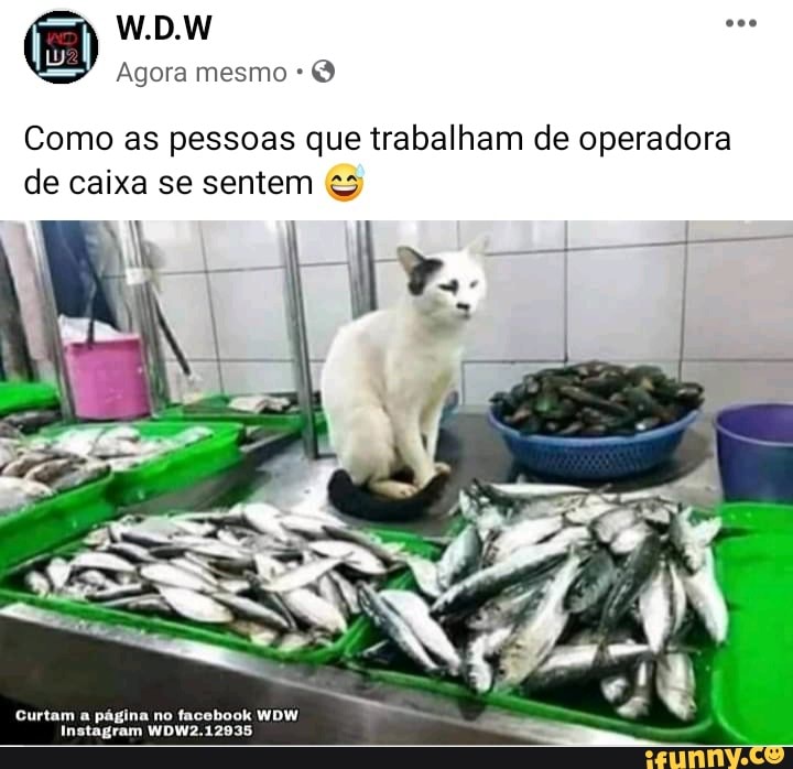 W.D.W
Agora mesmo *
Como as pessoas que trabalham de operadora de caixa se sentem
Curtam a página ram no facobook WDW2.12935 WDW ram WDW2.12935