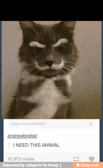 I NEED THIS ANIMAL,
