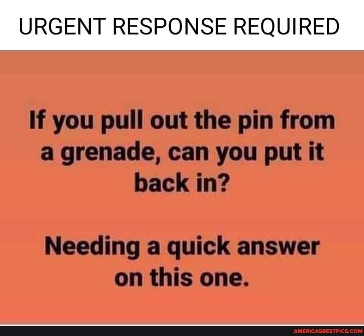 URGENT RESPONSE REQUIRED
If you pull out the pin from a grenade, can you put it back in?
Needing a quick answer on this one.