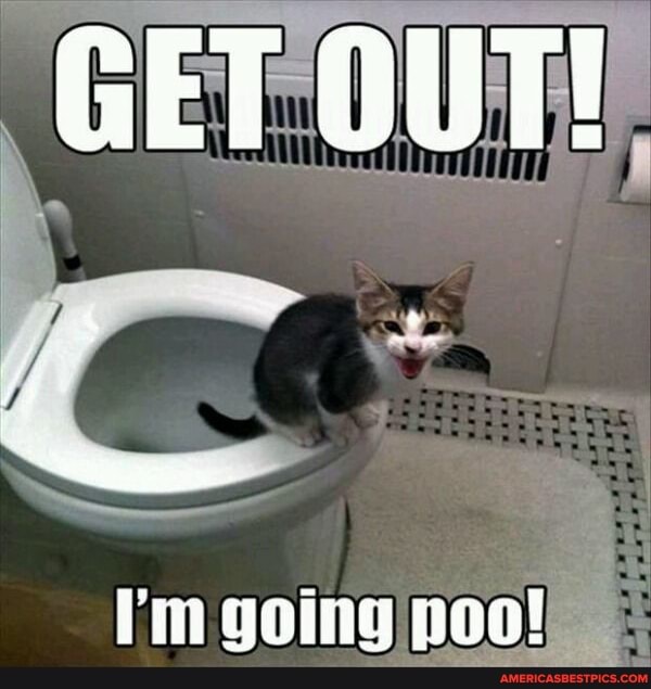 GET OUT!
'im going poo!