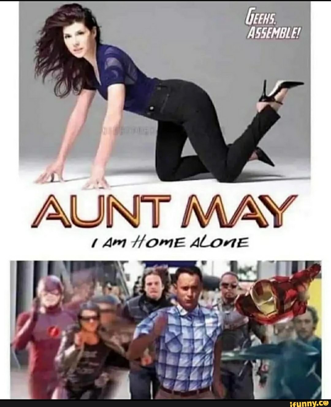 Assemble Aunt May Am Home Alone Ifunny 