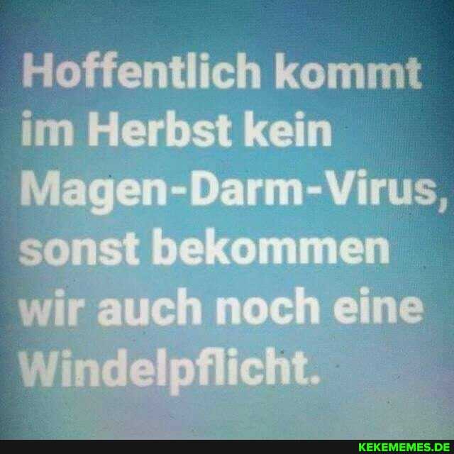 Hoffentlich kommt im Herbst kein
Magen-Darm-Virus, sonst bekommen wir auch noch eine
Windelpflicht.