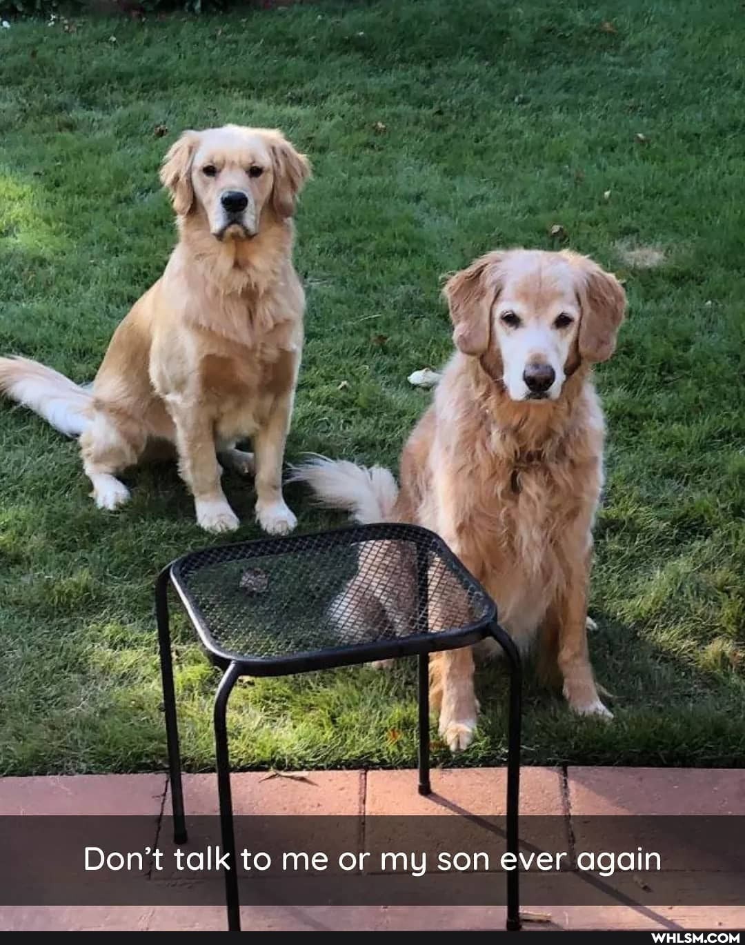 Don't talk to me or my son ever again