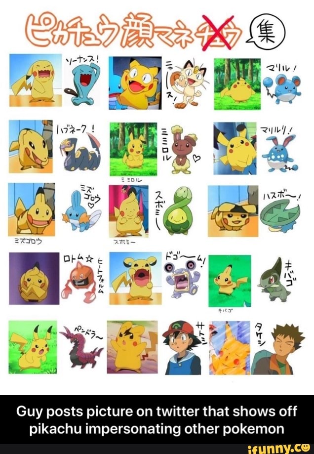Guy posts picture on twitter that shows off
pikachu impersonating other pokemon - Guy posts picture on twitter that shows off pikachu impersonating other pokemon