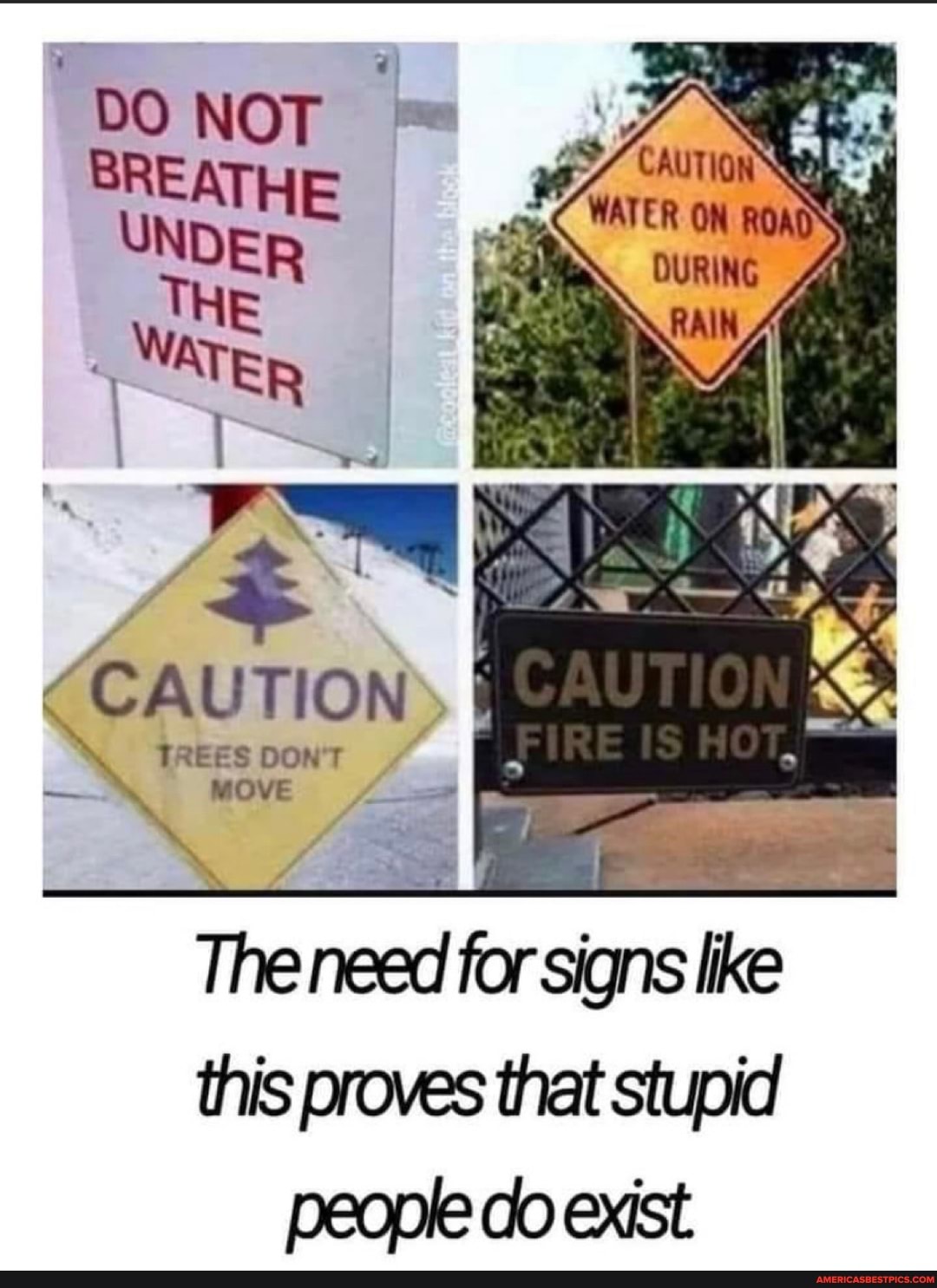 NOT
UNDER
ER
CAUTION) I
\ TREES DON'T
\ MOVE
- -
The need for signs like this proves that stupid peopk do exist