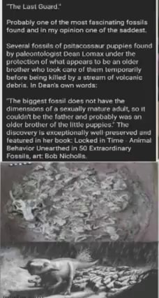 The Lawt Guard * Probably one ot the most fascinating fossils found and in  my apinion ene of the nadest 'Saveral fonsis of pstacassaur puppies found  by paleontologist Dean Lomax under the '