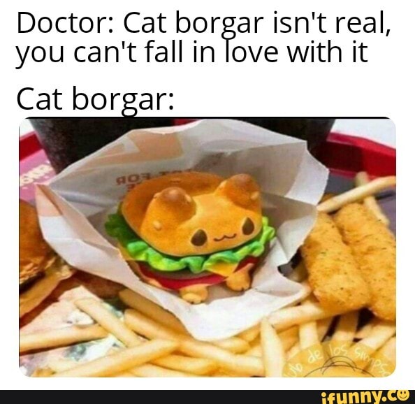 Doctor: Cat borgar isn't real, you can't fall in love with it
Cat borgar: