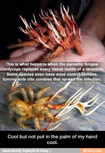 Cool but not put in the palm of my hand
cool. - Cool but not put in the palm of my hand cool.