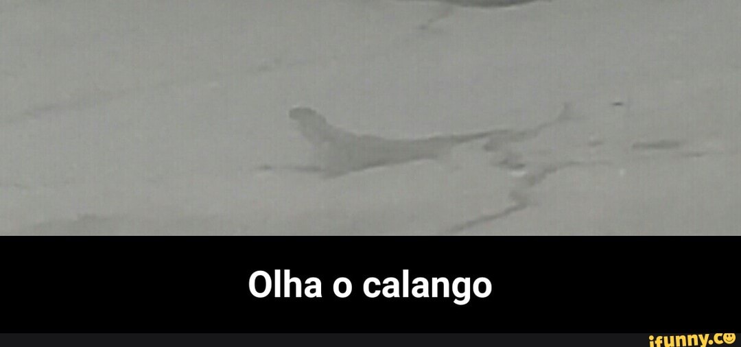 Olha o calango - Olha o calango