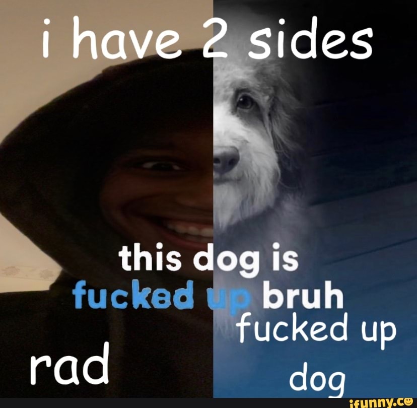 I Have 2 Sides This Dog Is Ke Bruh Fucked Up Rad Dog - IFunny