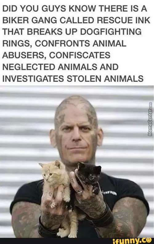 DID YOU GUYS KNOW THERE IS A
BIKER GANG CALLED RESCUE INK
THAT BREAKS UP DOGFIGHTING
RINGS, CONFRONTS ANIMAL
ABUSERS, CONFISCATES
NEGLECTED ANIMALS AND
INVESTIGATES STOLEN ANIMALS
