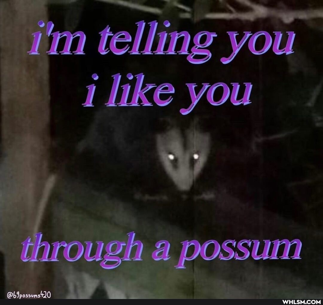 i'm telling you
1 like you
through a possum