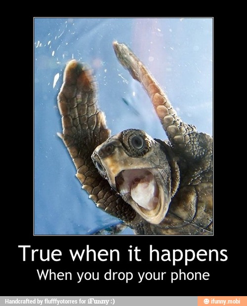 True when it
happens
When you drop your phone - True when it happens
When you drop your phone