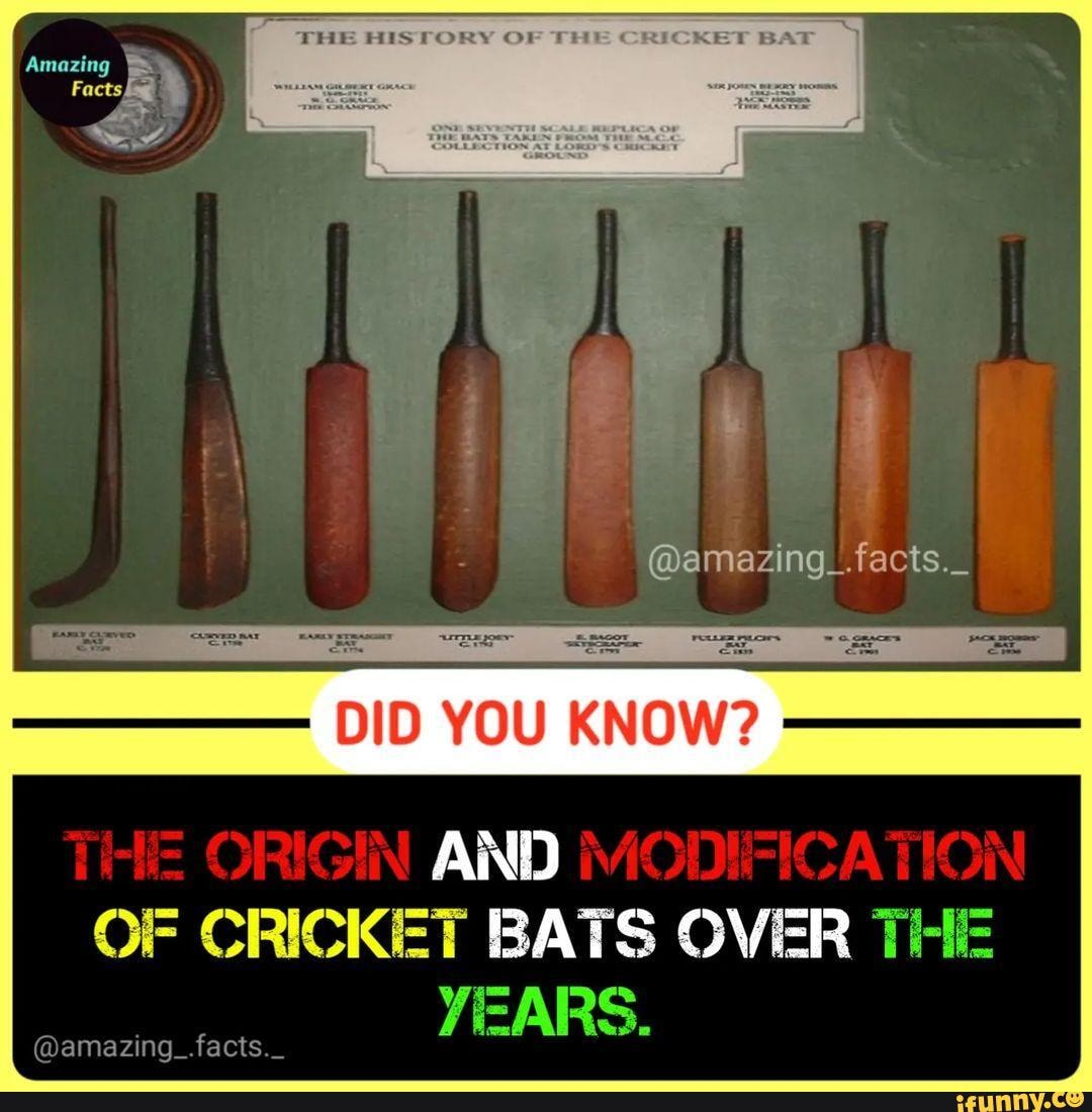 THE HISTORY OF THE CRICKET BA Amazing & Facts mazingI.facts._ DID YOU
