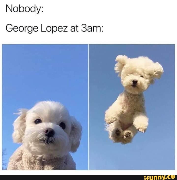 Nobody:
George Lopez at San: