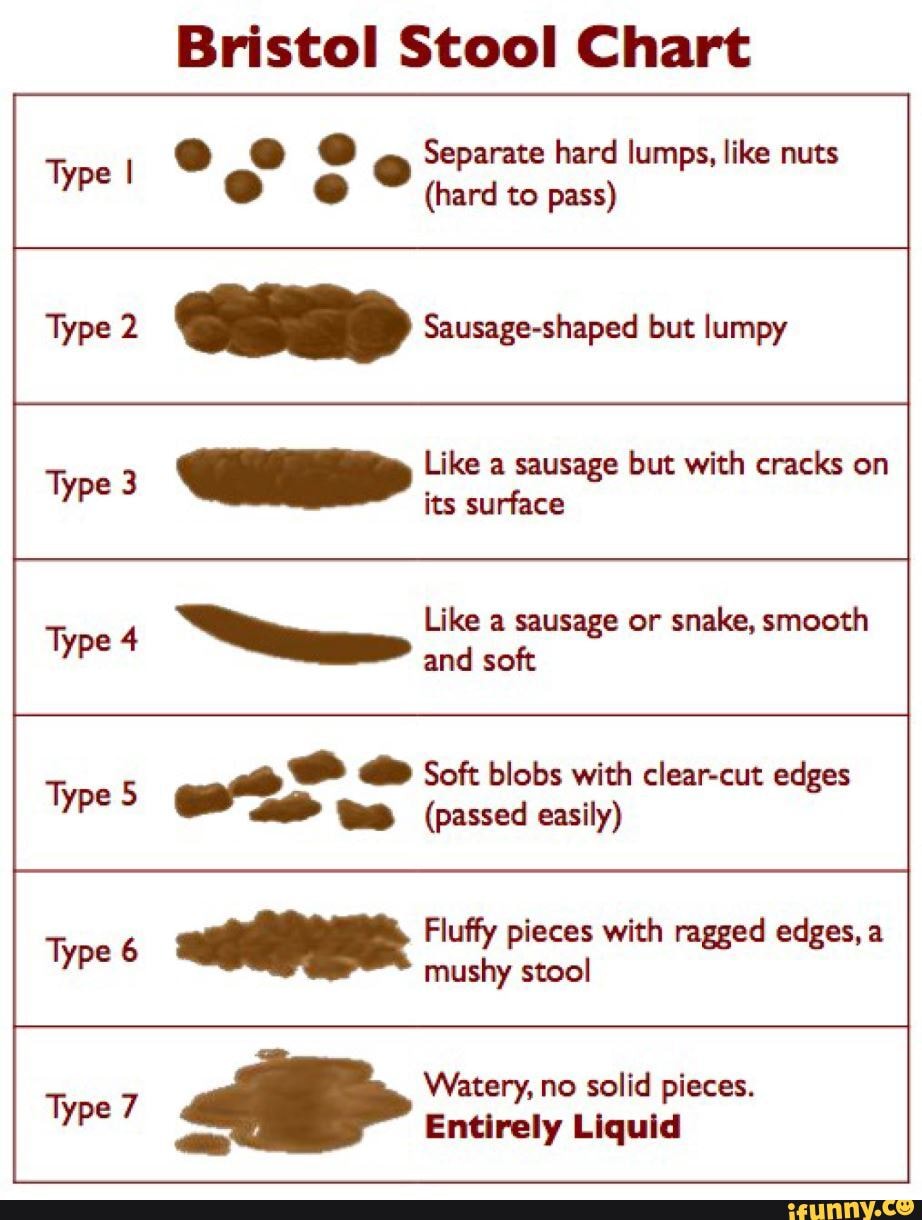 Bristol Stool Chart @ Separate hard lumps, like nuts (hard to pass ...