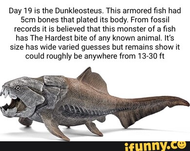 Day 19 is the Dunkleosteus. This armored fish had Sem bones that plated ...