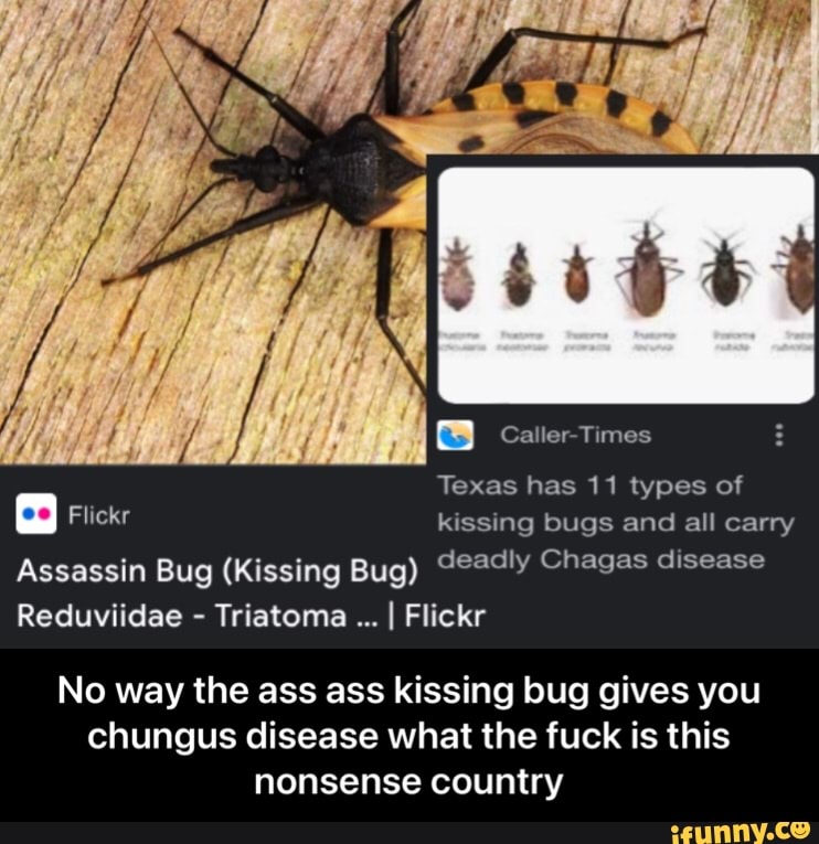 Chagas memes. Best Collection of funny Chagas pictures on iFunny