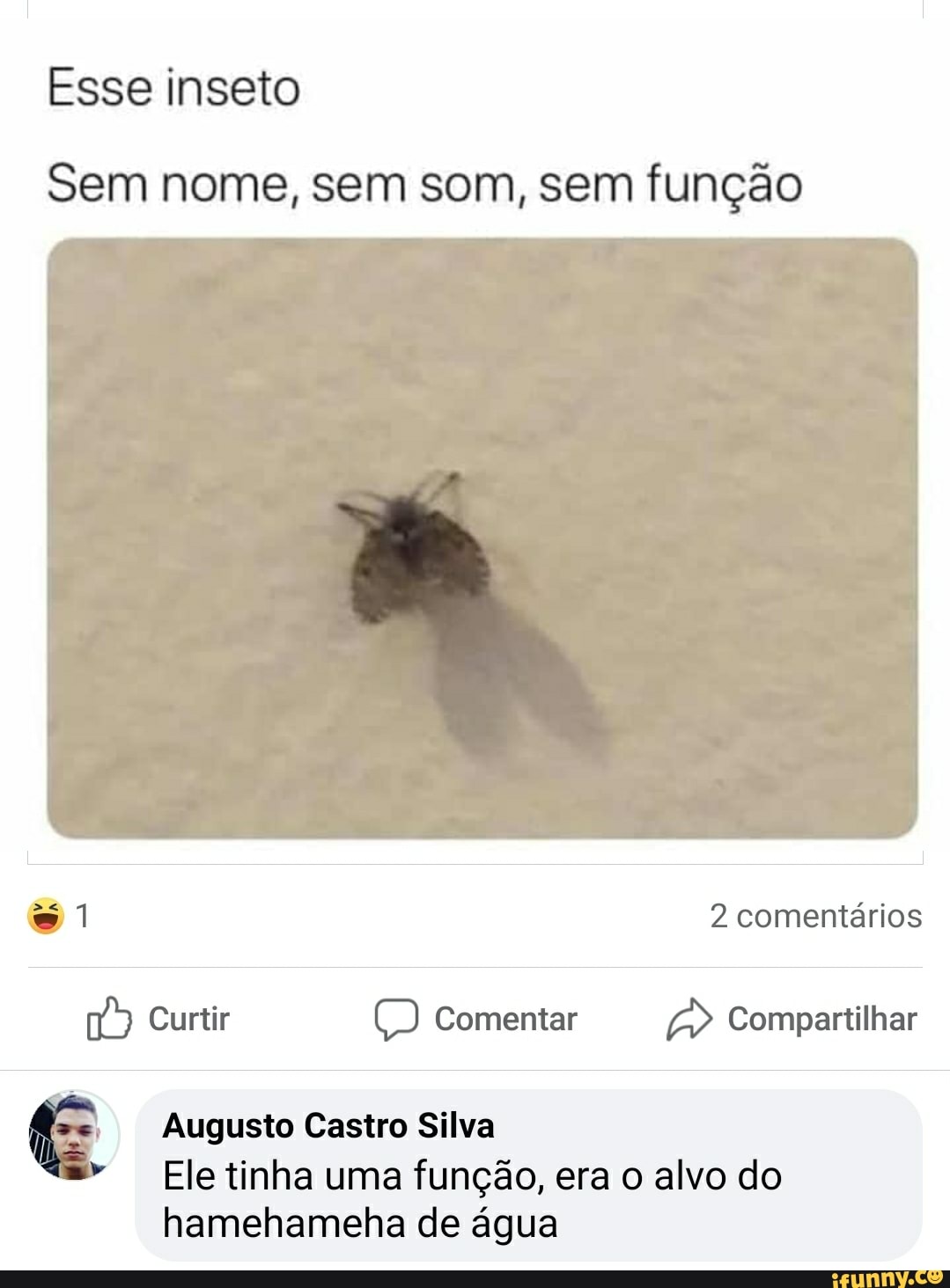 Sem nome, sem som, sem função
© Augusto Castro Silva
Ele tinha uma função, era o alvo do