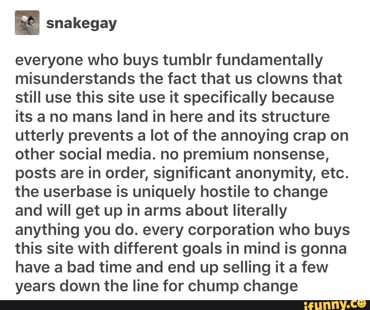 a snakegay
everyone who buys tumblr fundamentally
misunderstands the fact that us clowns that
still use this site use it specifically because
its a no mans land in here and its structure
utterly prevents a lot of the annoying crap on
other social media. no premium nonsense,
posts are in order, significant anonymity, etc.
the userbase is uniquely hostile to change
and will get up in arms about literally
anything you do. every corporation who buys
this site with different goals in mind is gonna
have a bad time and end up selling it a few
years down the line for Chump change