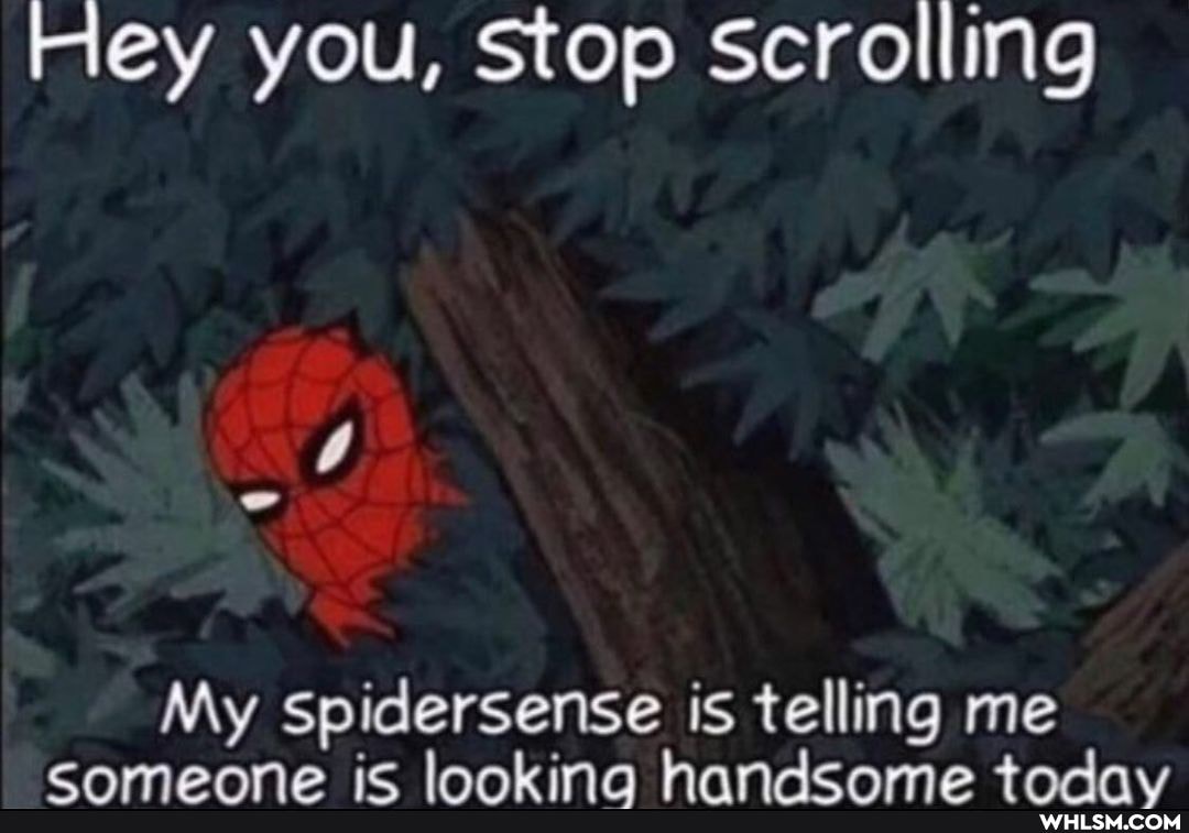 Fey you, stop scrolling
My Spidersense is telling me
ie