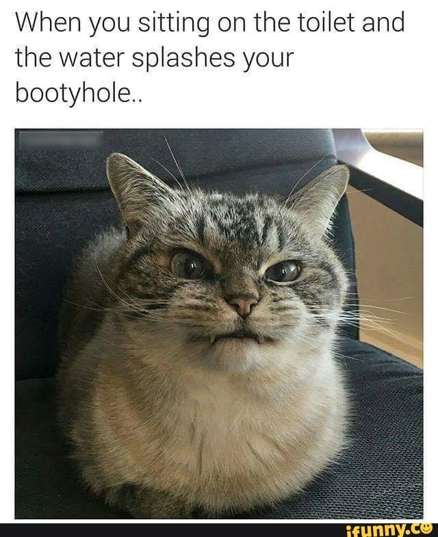 Fantastic Feline memes - When you sitting on the toilet and the water ...